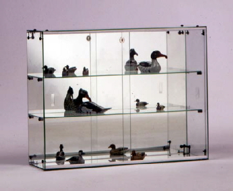 C06_mit_2_Boden_und_Spiegelruckwand